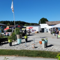 06.28 marché2